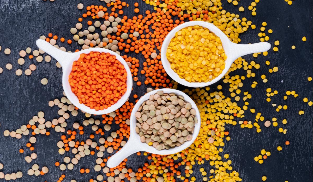 сочевиця користь