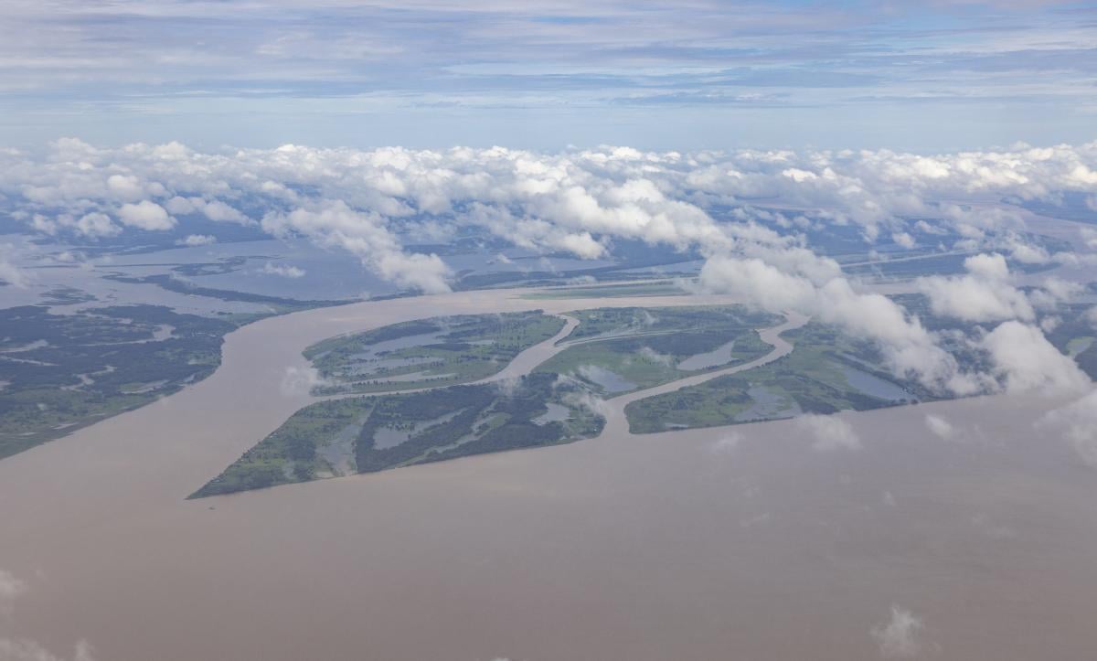 В Амазонії виявили сотні кілометрів стародавніх доріг, що могли вести до духовного світу