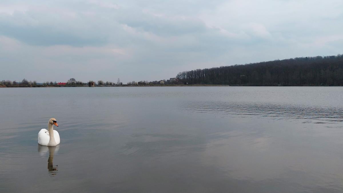 Доброгостов: расслабляющий поход к живописному озеру из Трускавца