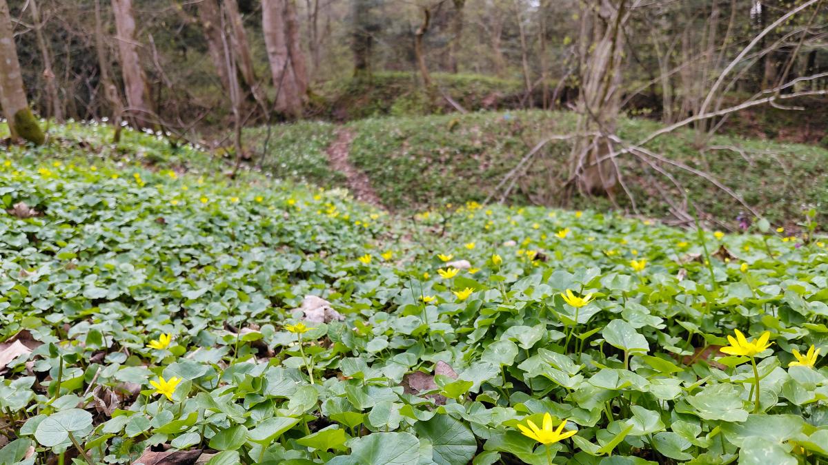 Доброгостов: расслабляющий поход к живописному озеру из Трускавца