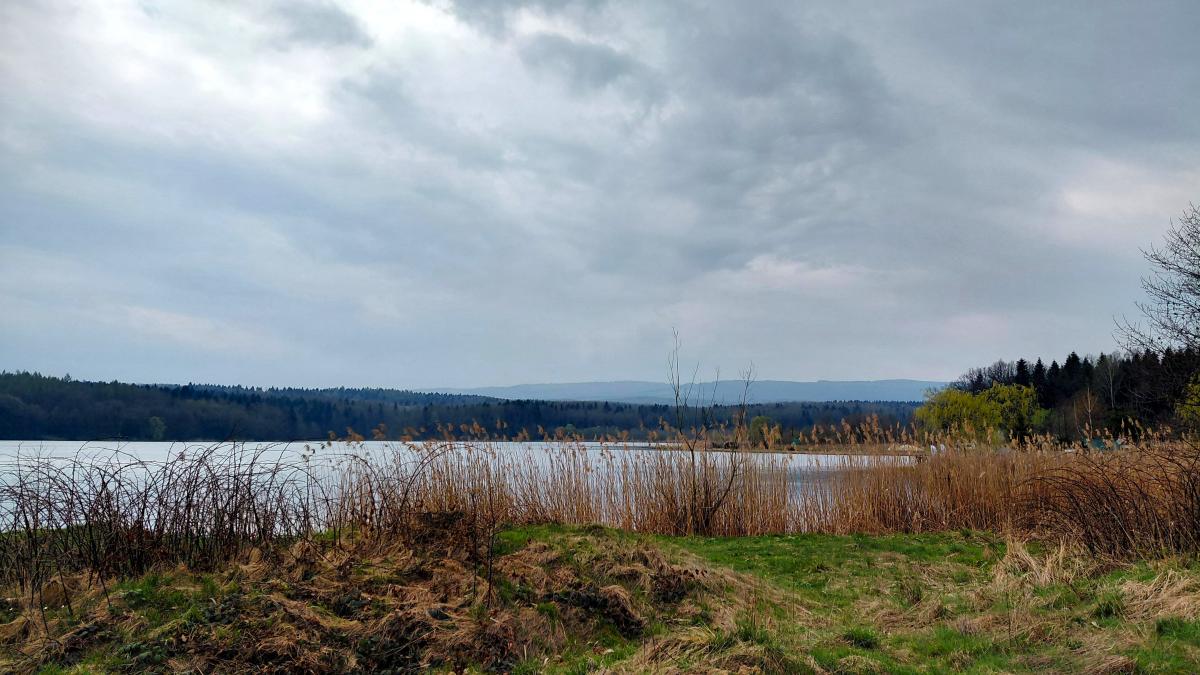 Доброгостов: расслабляющий поход к живописному озеру из Трускавца