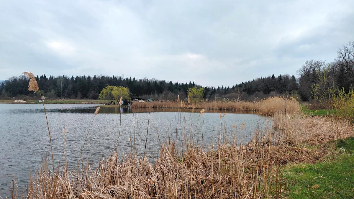 Доброгостов: расслабляющий поход к живописному озеру из Трускавца