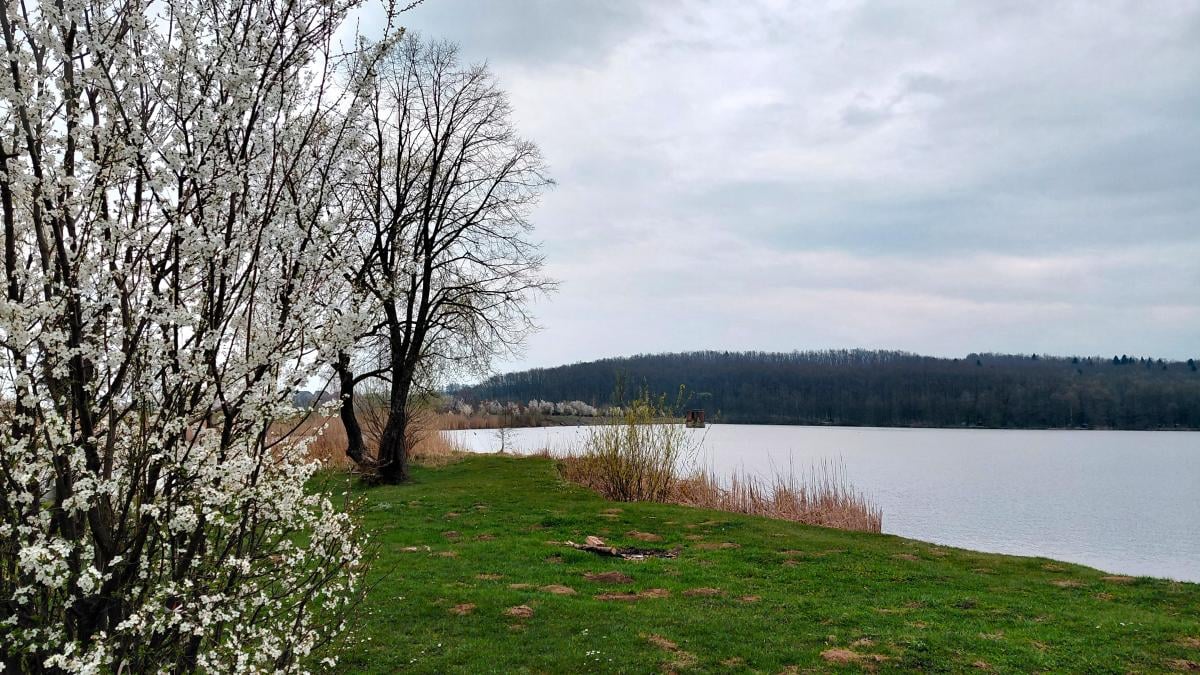 Доброгостов: расслабляющий поход к живописному озеру из Трускавца