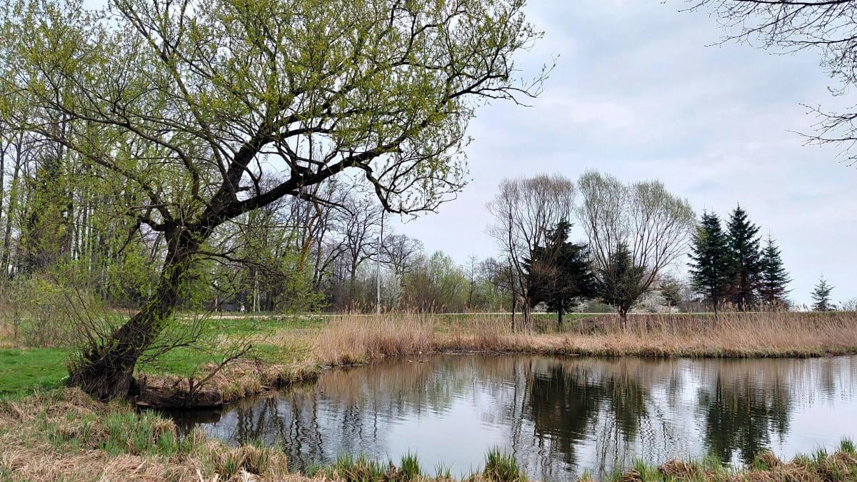 Доброгостов: расслабляющий поход к живописному озеру из Трускавца