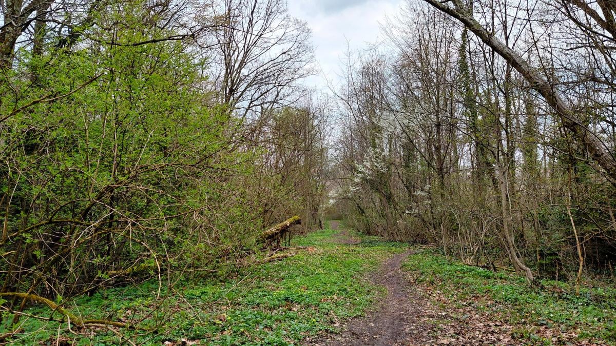 Доброгостов: расслабляющий поход к живописному озеру из Трускавца