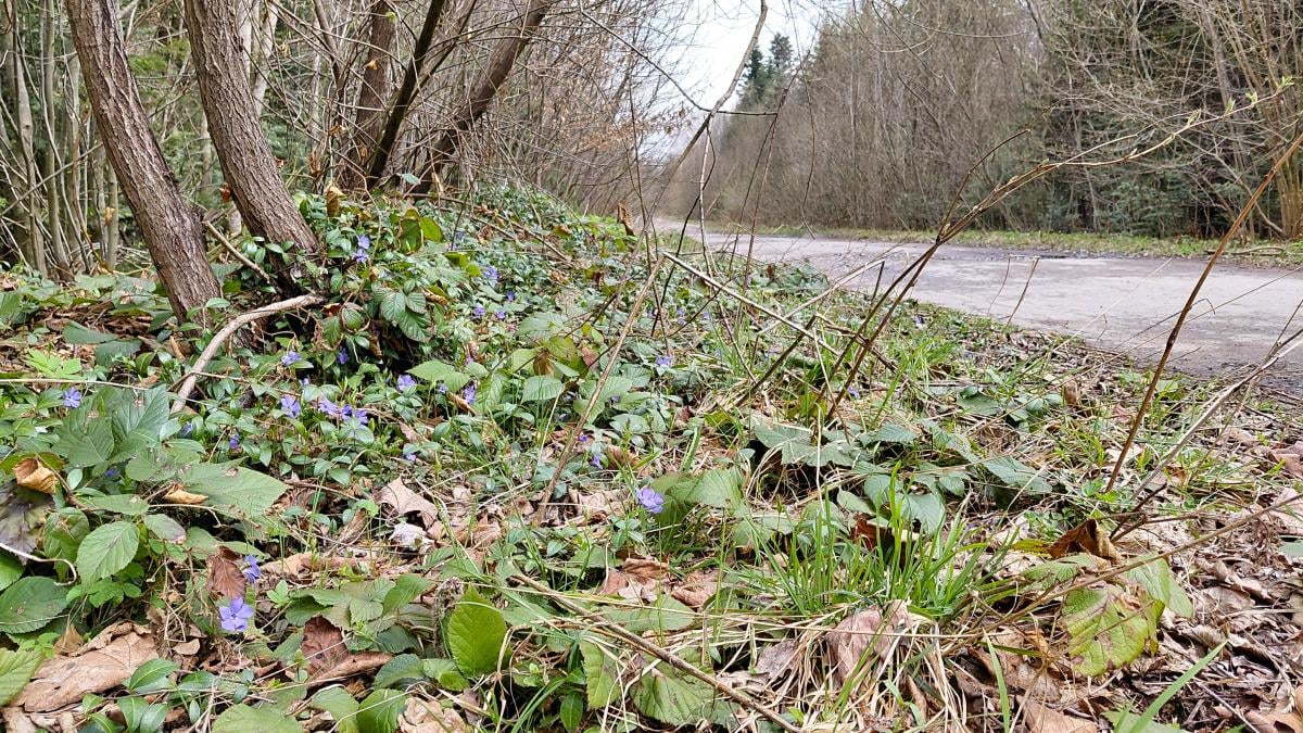 Доброгостов: расслабляющий поход к живописному озеру из Трускавца