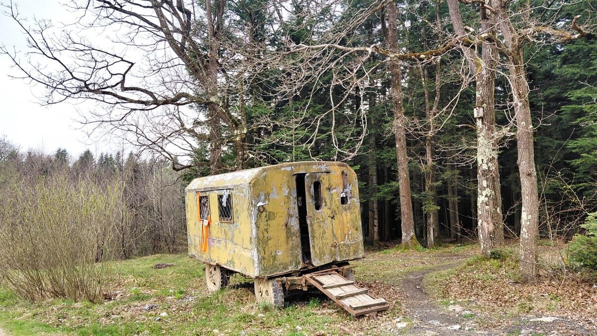 Доброгостов: расслабляющий поход к живописному озеру из Трускавца