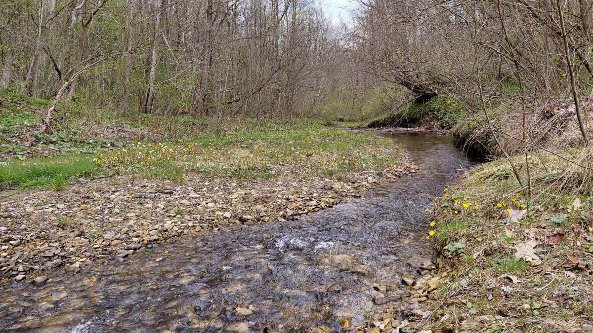 Доброгостов: расслабляющий поход к живописному озеру из Трускавца