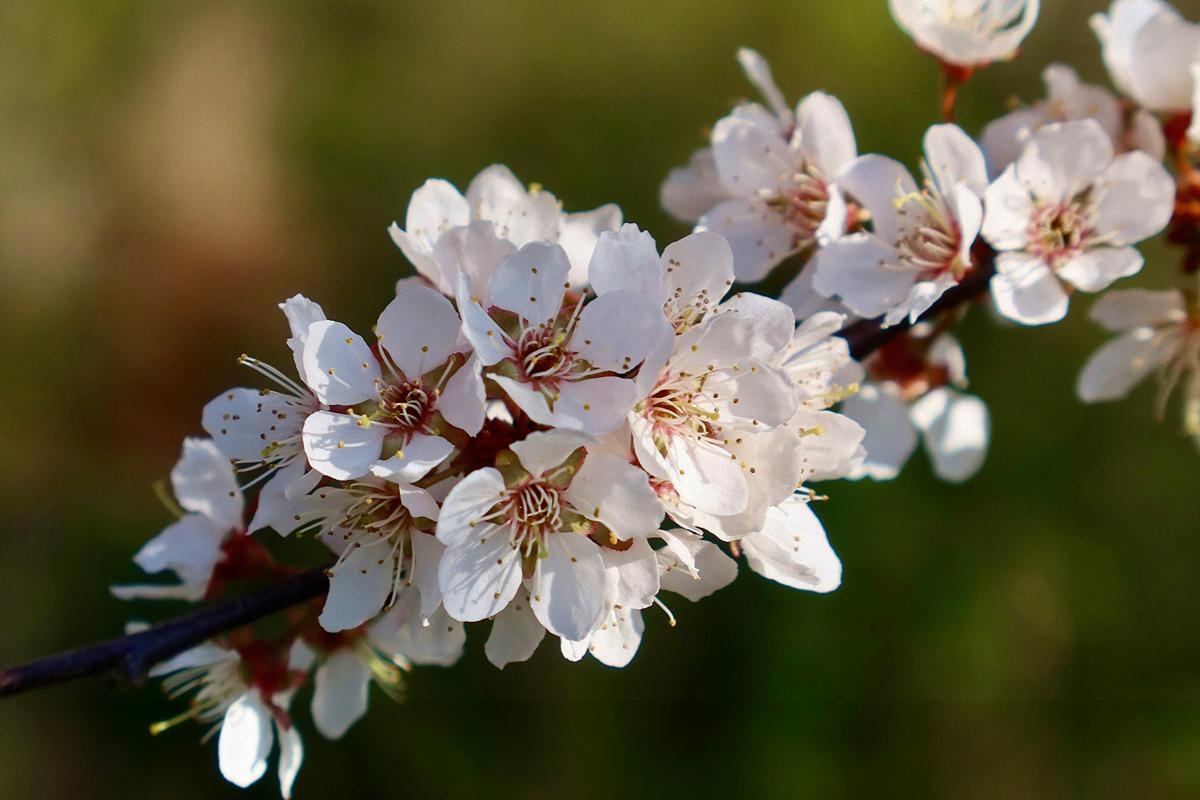 Прикмети на сьогодні 