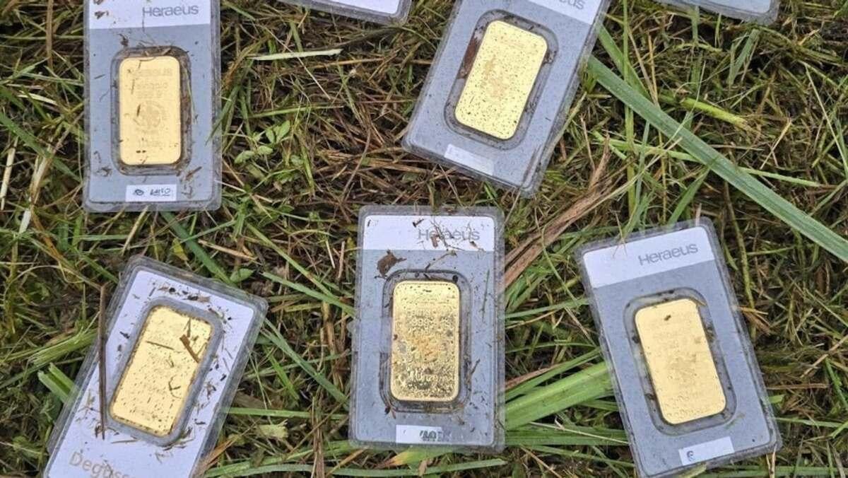 В Германии работник нашел золотые слитки на 40 000 евро во время стрижки газона