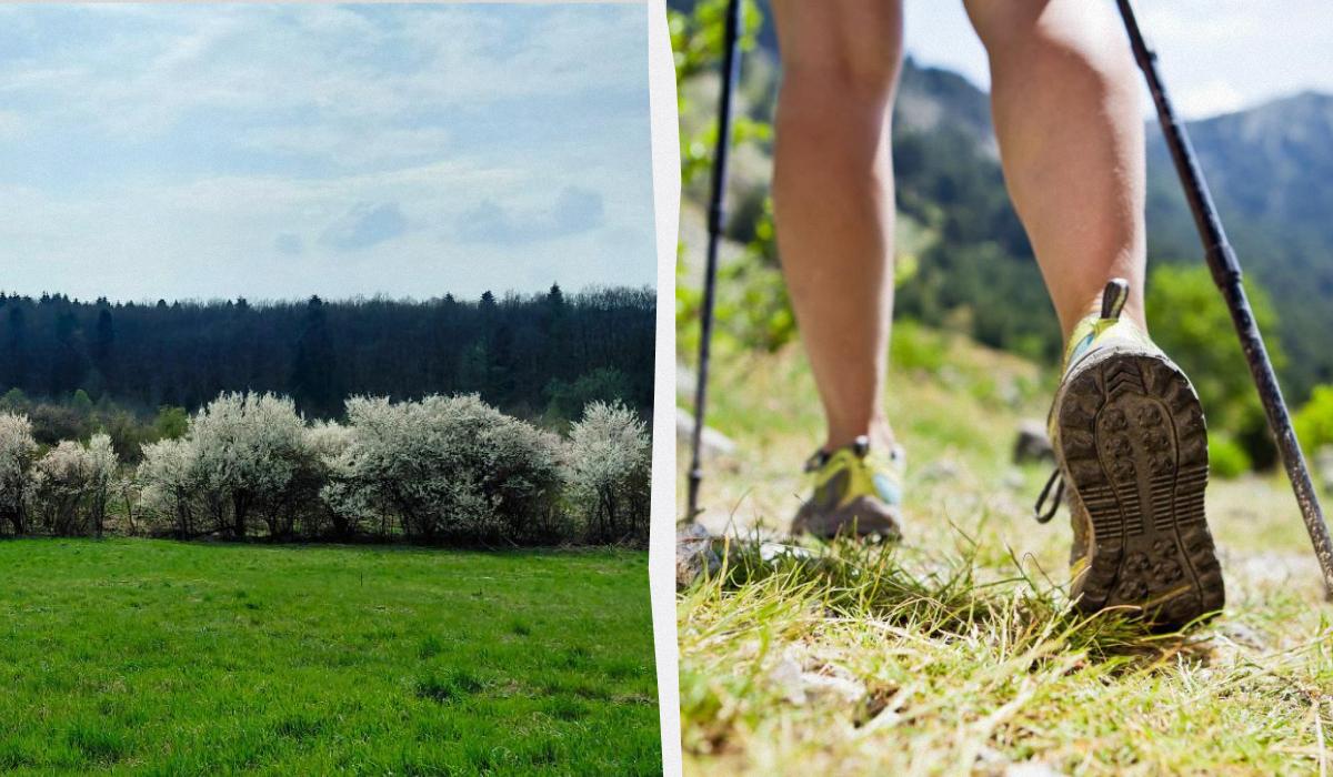 Україна стане частиною одного з найвідоміших туристичних маршрутів Європи