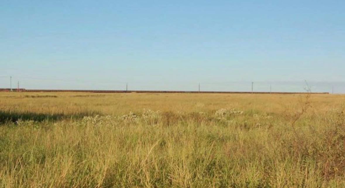 Сотні вагонів і кілька локомотивів: що відомо про найдовший поїзд з Книги рекордів Гіннеса