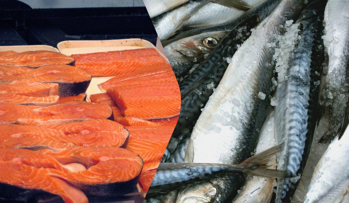 Лосось чи скумбрія: у чому різниця та яка риба корисніша
