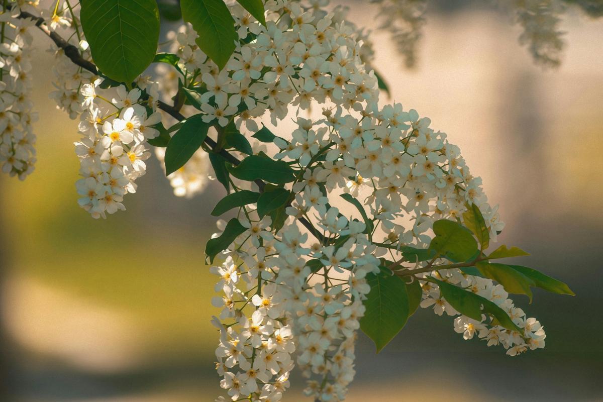 Приметы на сегодня