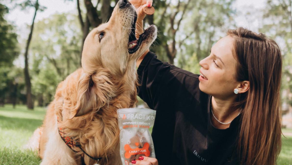 Сезон кліщів 2026: як захистити собак та котів і зміцнити їхній імунітет навесні