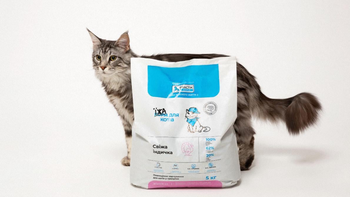 Сезон кліщів 2026: як захистити собак та котів і зміцнити їхній імунітет навесні