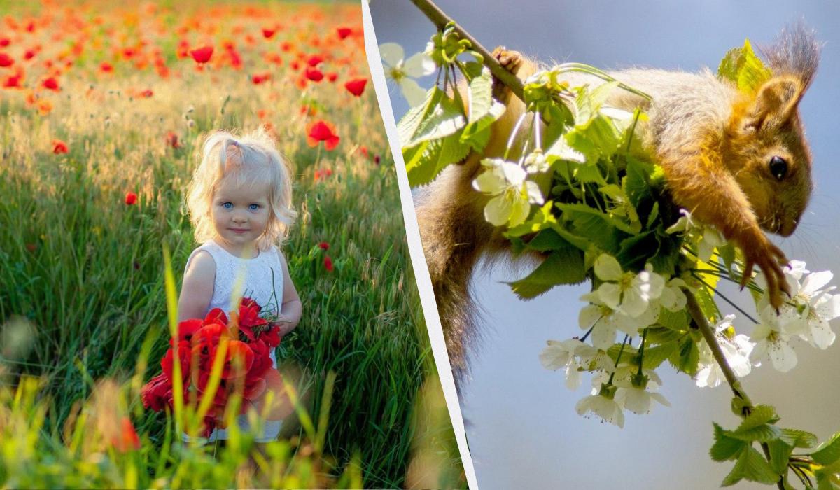 яке сьогодні свято