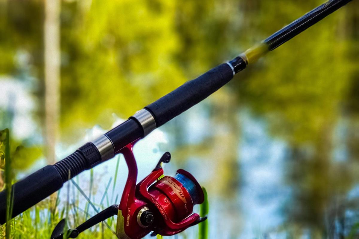 5 днів чудового кльову: коли йти на риболовлю в кінці квітня