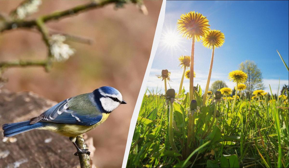 25 квітня в Україні: яка професія має свято і чому потрібно дарувати подарунки сьогодні