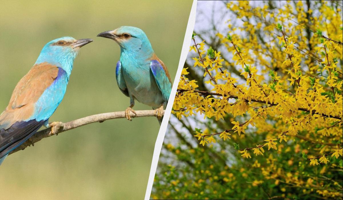 какой сегодня праздник