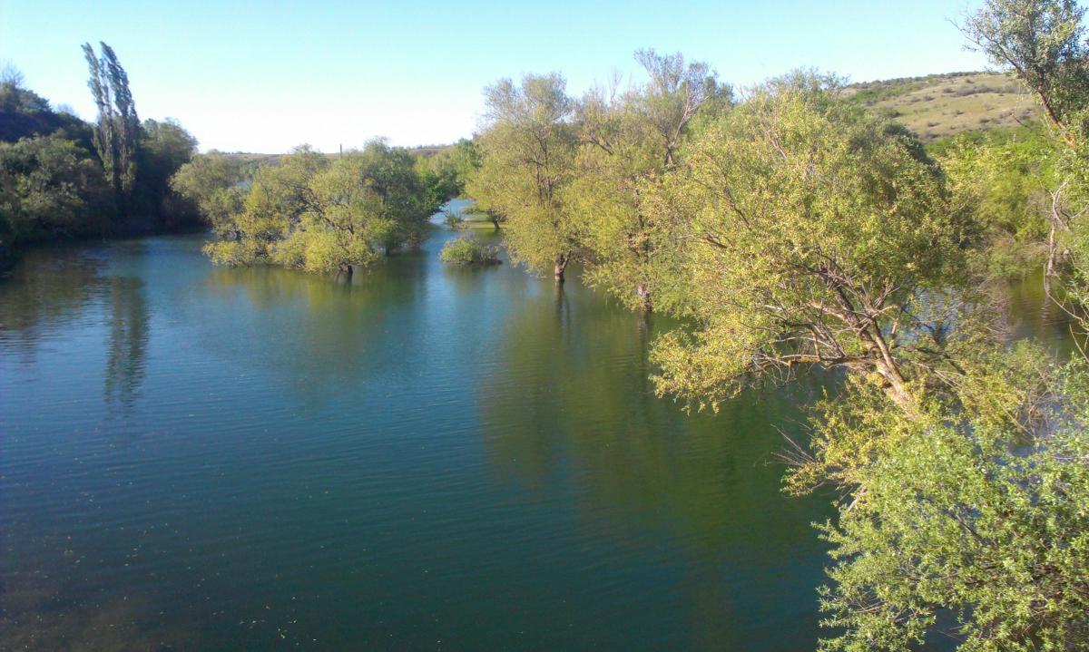 Крим на межі кризи: південна частина одного з водосховищ майже зневоднена, - краєзнавець