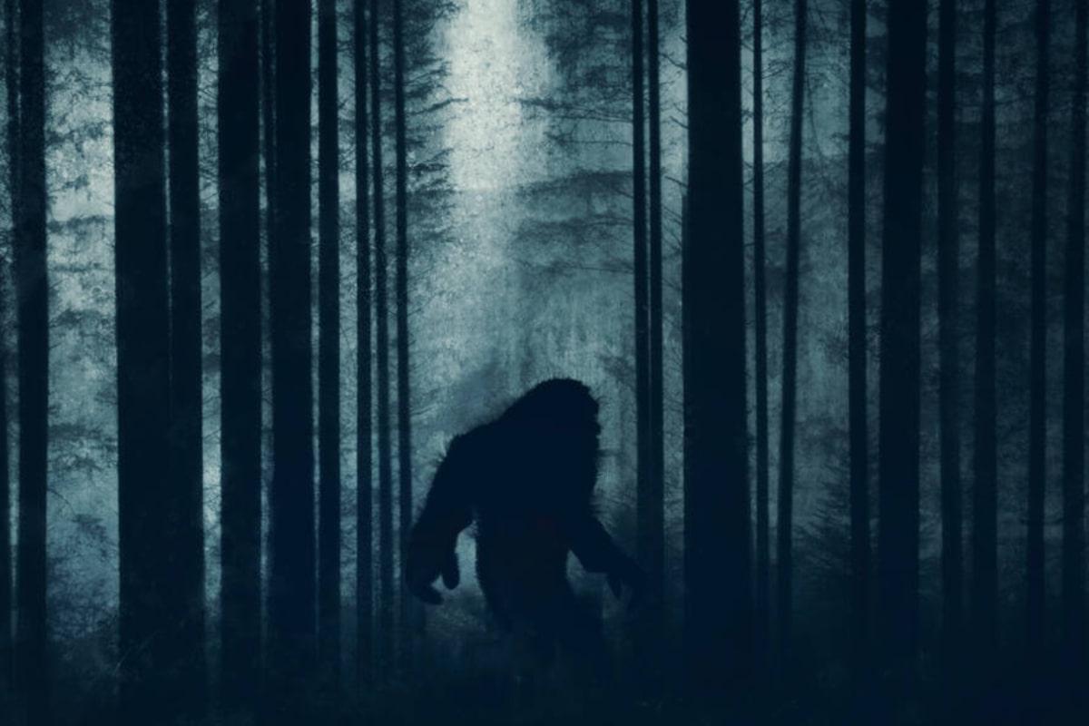 У 1977-му докази існування снігової людини передали ФБР: експертиза здивувала