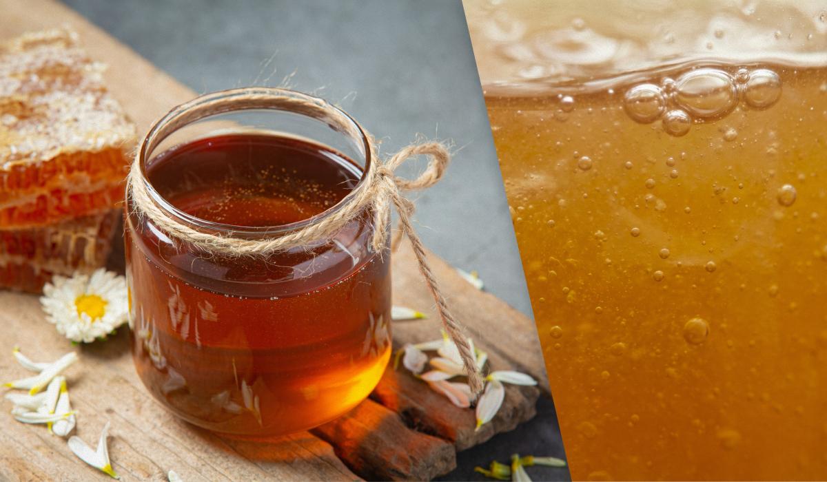 Мед може забродити, якщо залишити його в цьому місці: як і де краще його зберігати