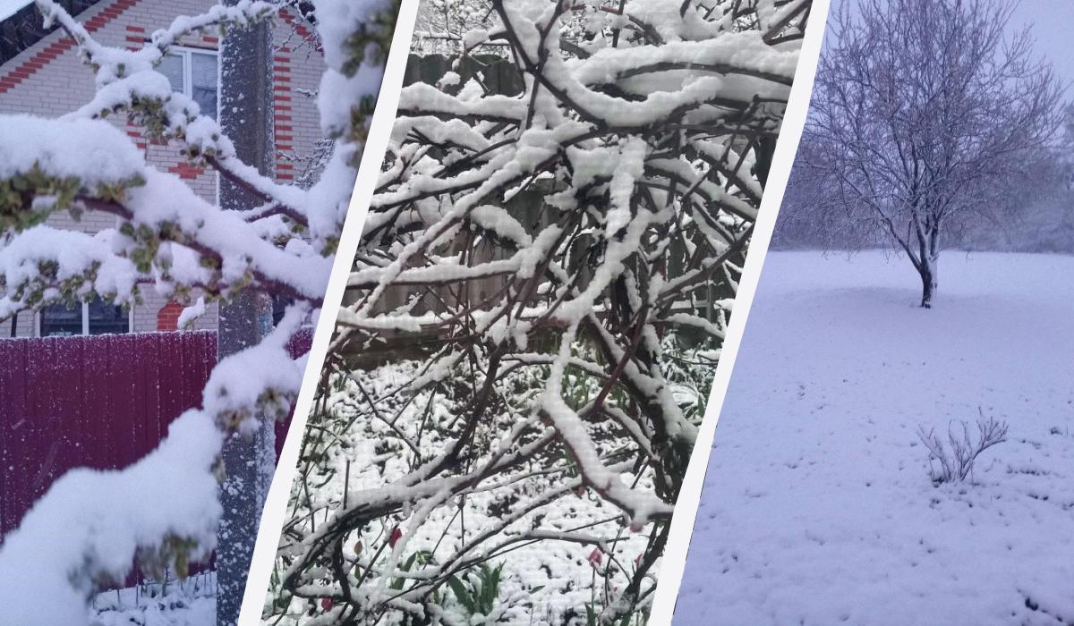 В Україні сніжить з новою силою: холод з півночі накрив країну (фото, відео)