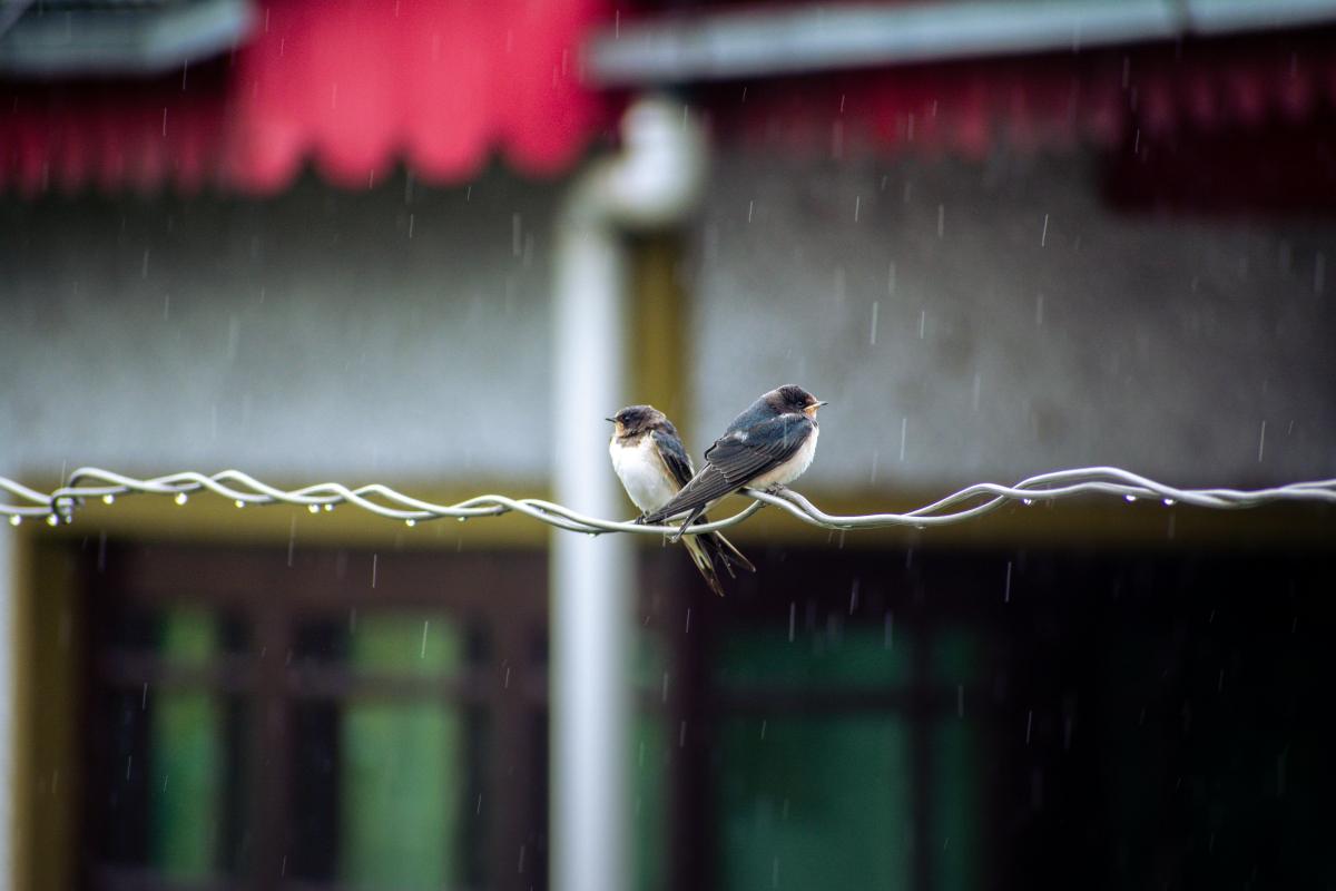 Приметы на сегодня