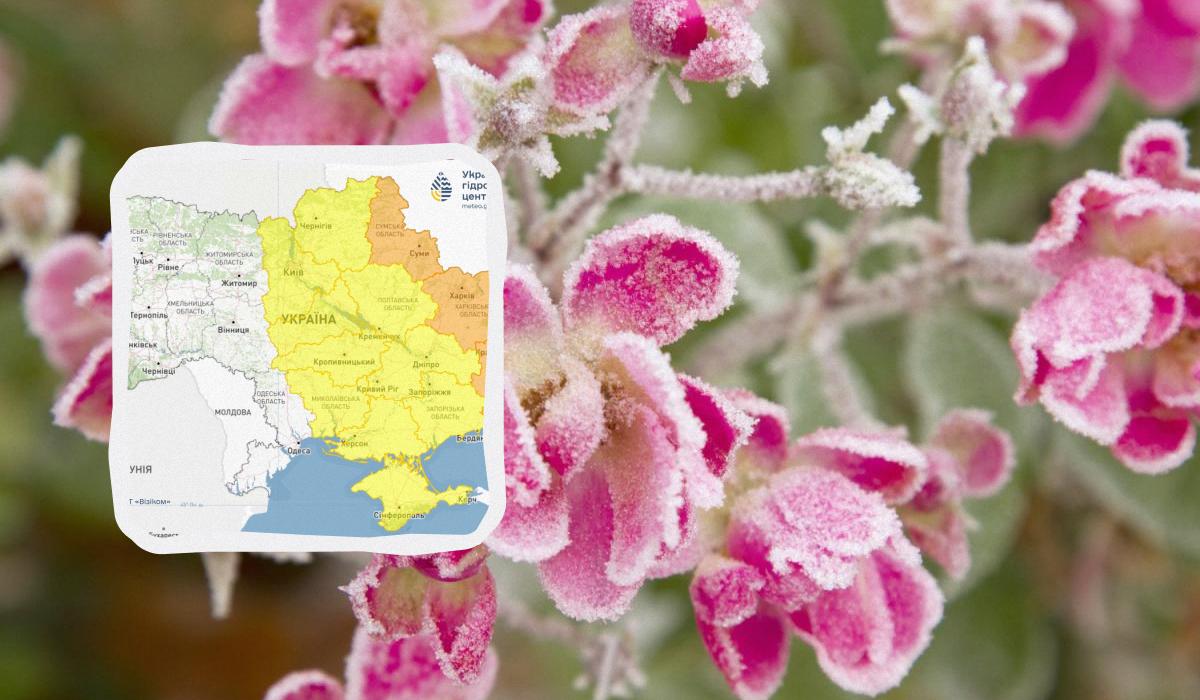 Заморозки атакуют Украину сегодня ночью: температура упадет до 'минусов' (карта)