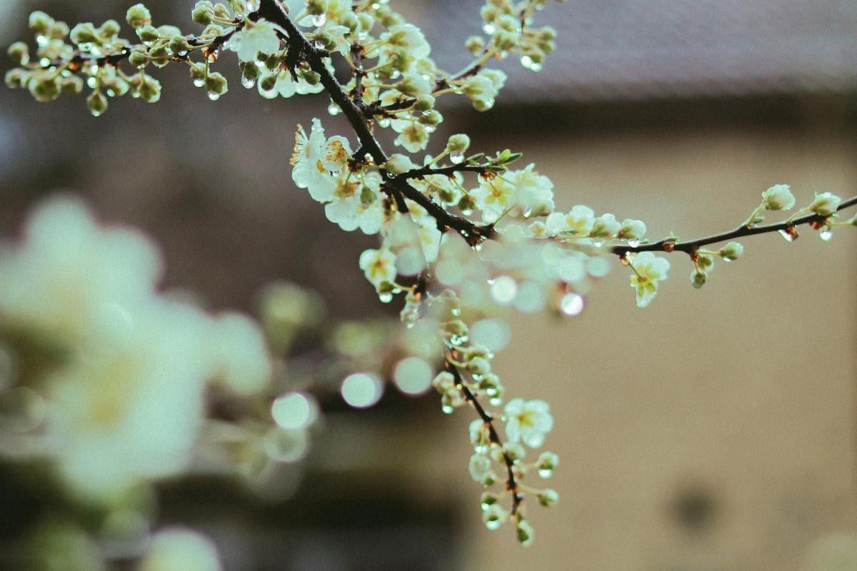 Приметы на сегодня