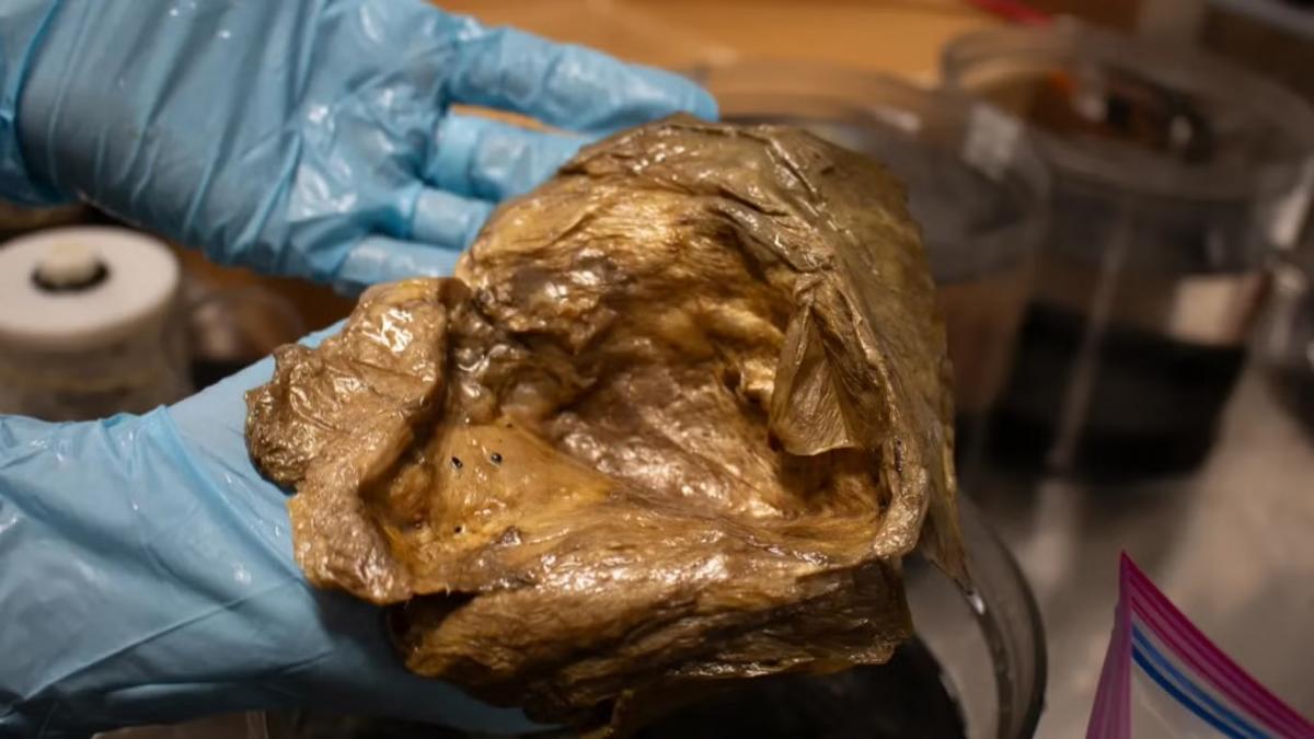 Вчені виявили на дні моря загадкову 'золоту кулю', яка виявилася чимось незвичайним