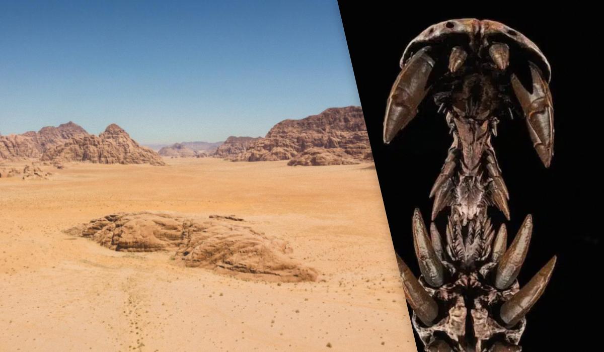В Сахаре обнаружили гигантского динозавра, и он совсем не похож на остальных