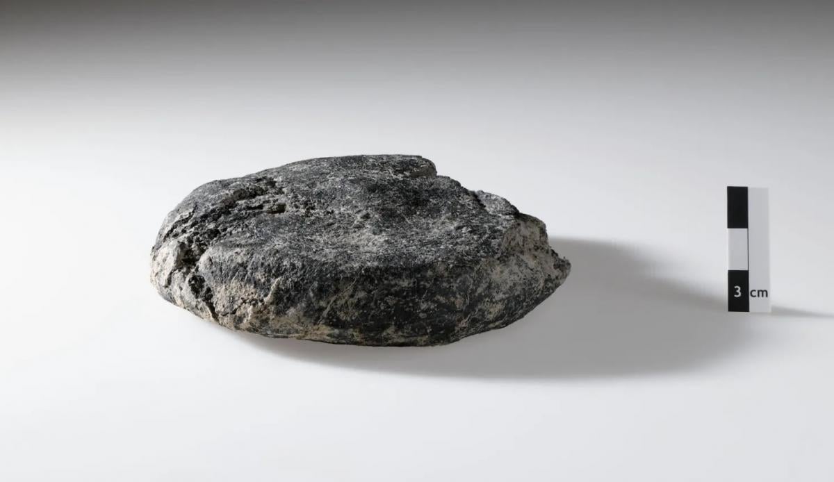 В Швейцарии археологи обнаружили римский хлеб, которому 2000 лет: как он смог сохраниться