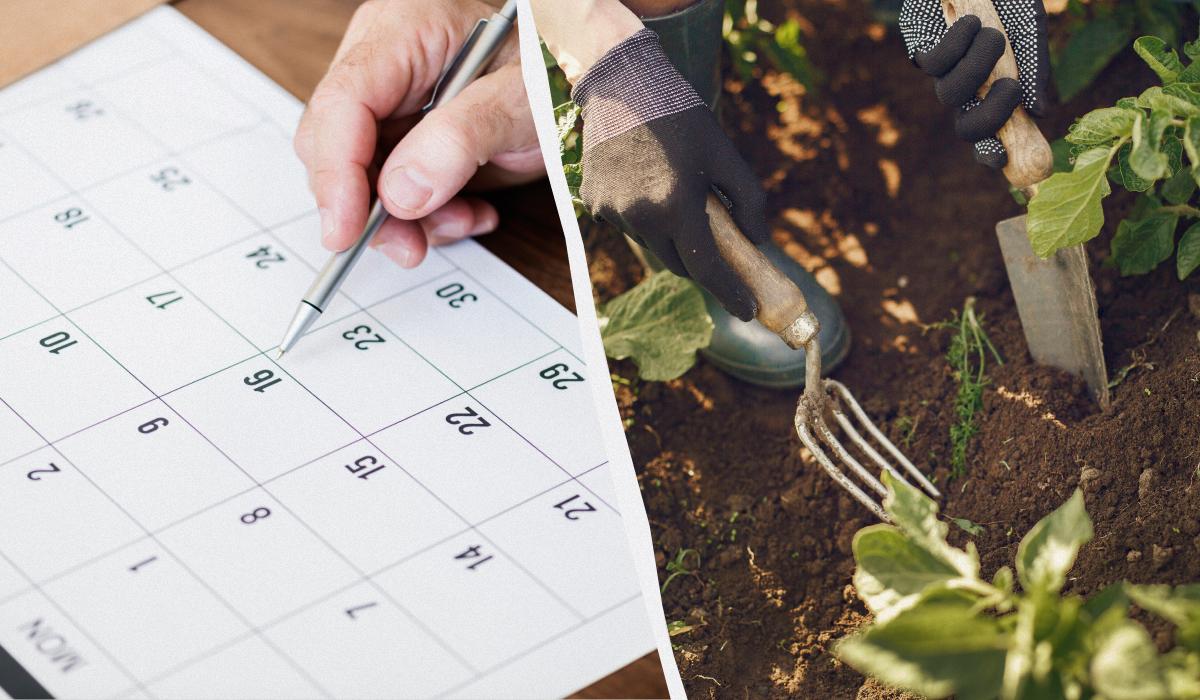 посівний календар