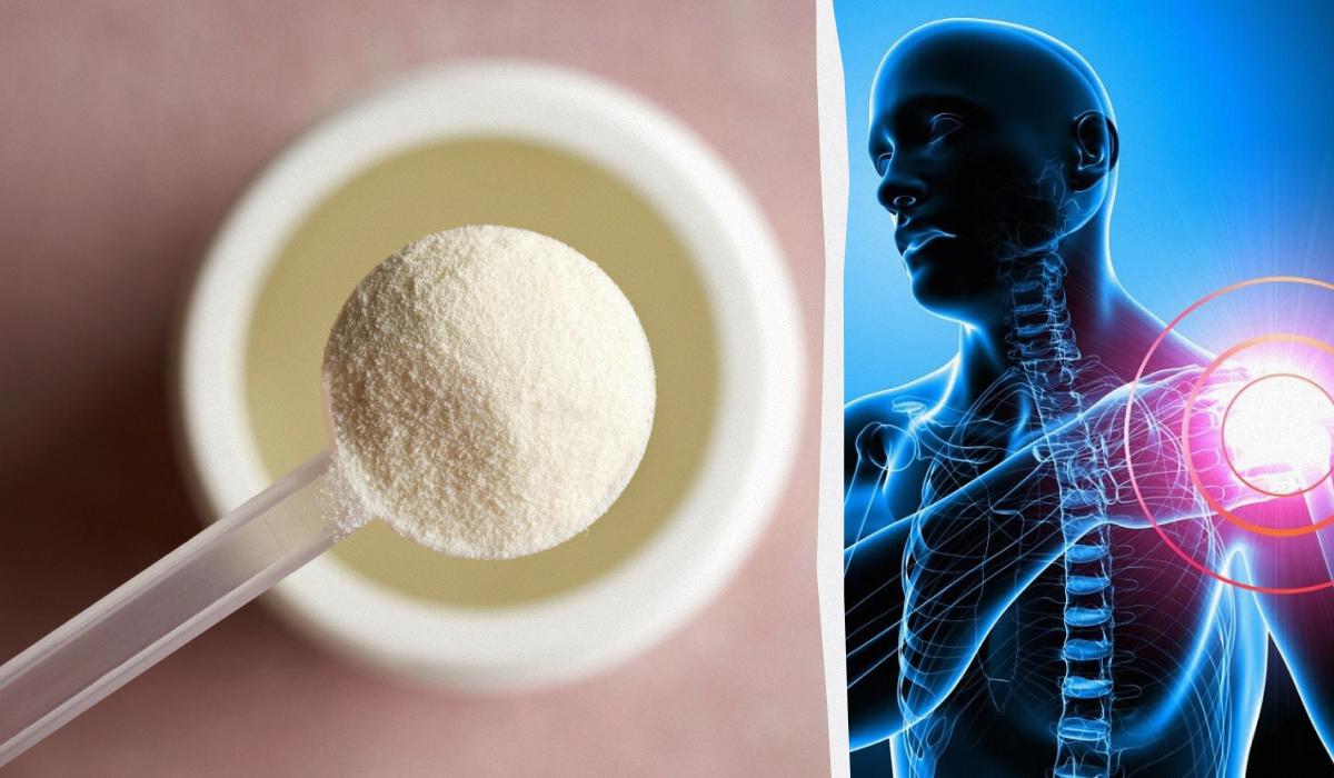 Вчені навчилися вирощувати кісткову тканину на основі кератину з вовни тварин