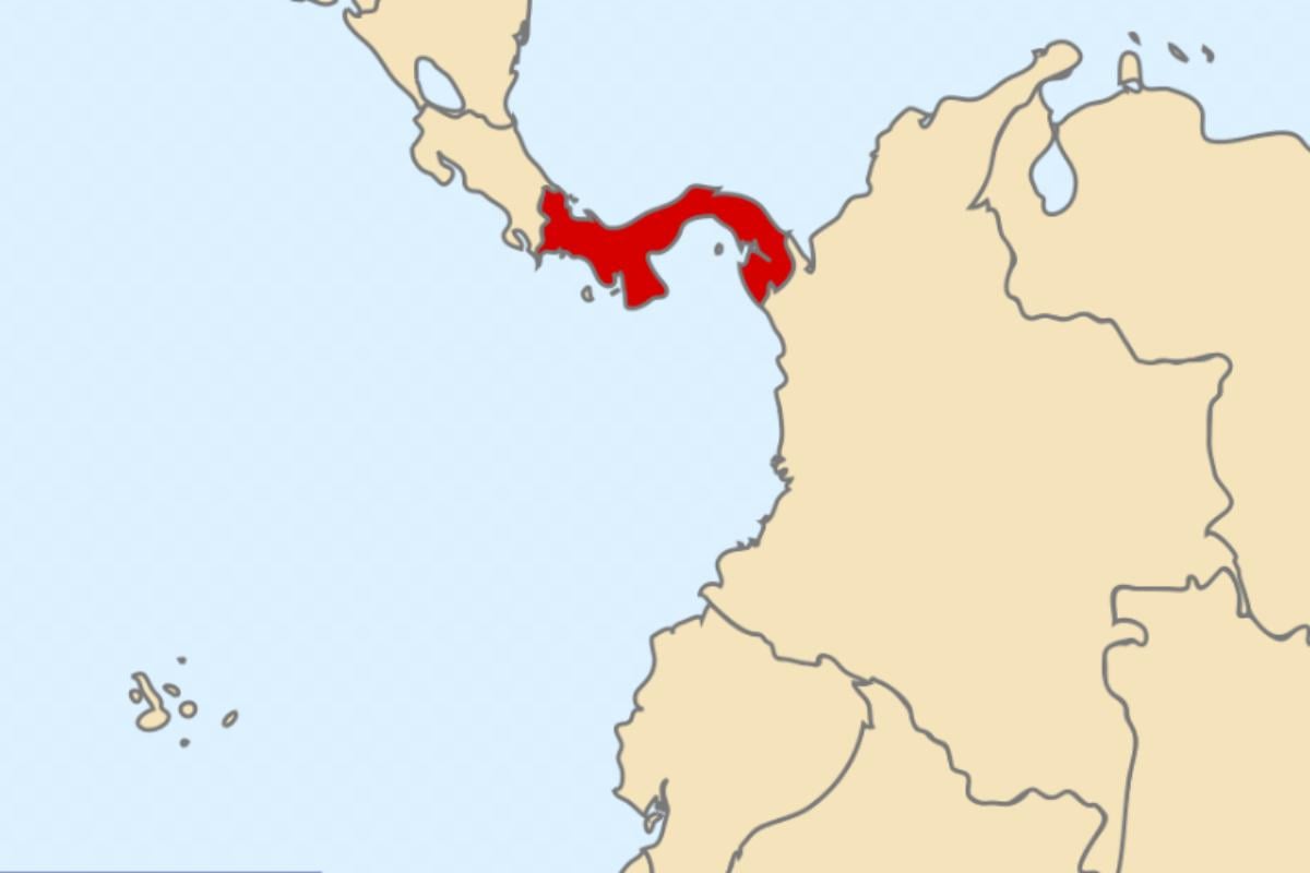 У Панамі вперше за 40 років зникла океанічна 'лінія життя': вчені б’ють на сполох