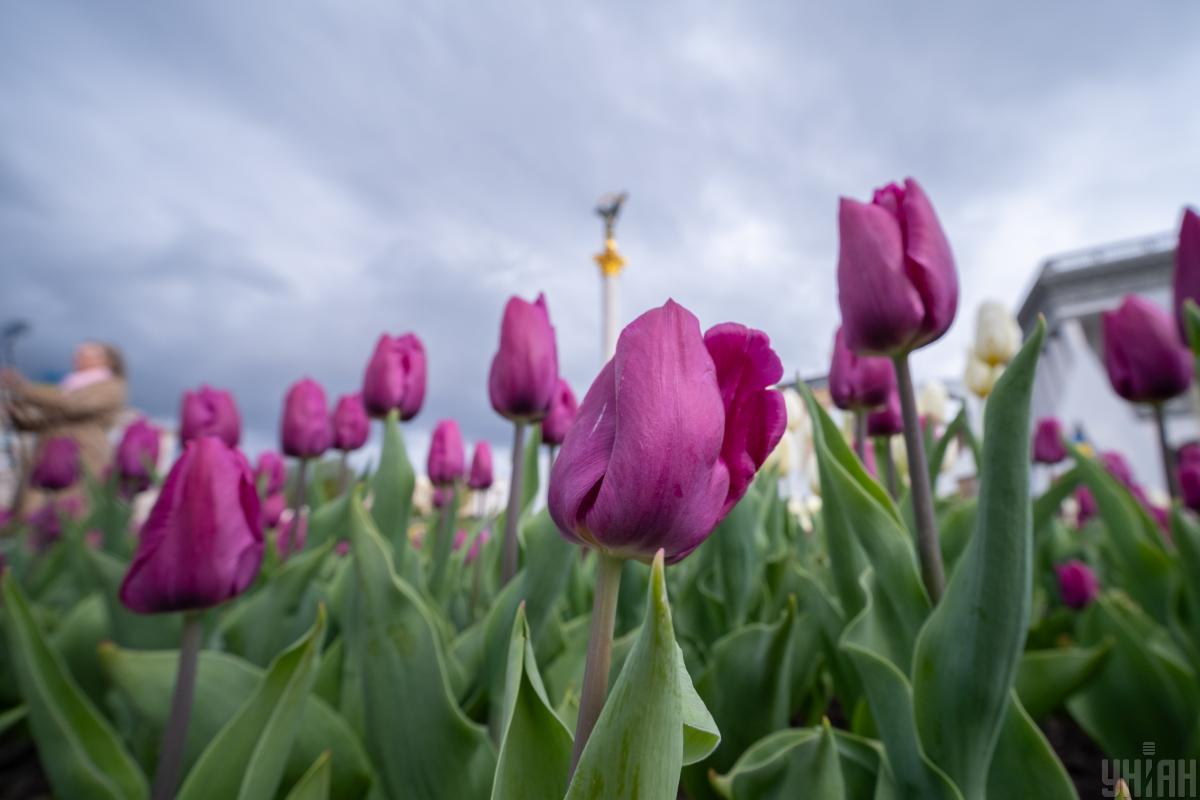 В Киеве потеплеет до +15°: синоптики назвали точную дату (график)