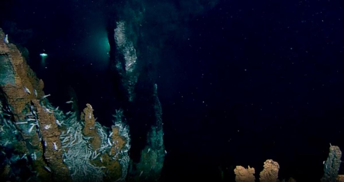 Найбільше у світі місце проживання 'зомбі-черв'яків': що це за печера