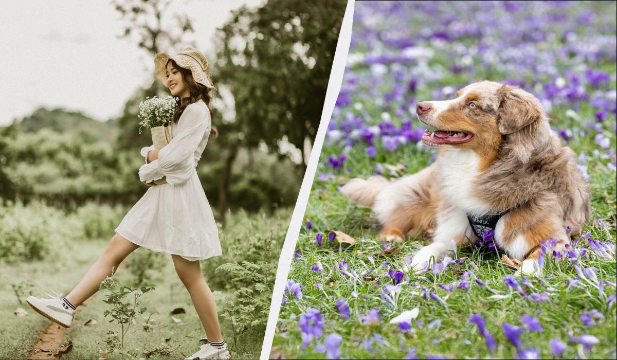 какой сегодня праздник