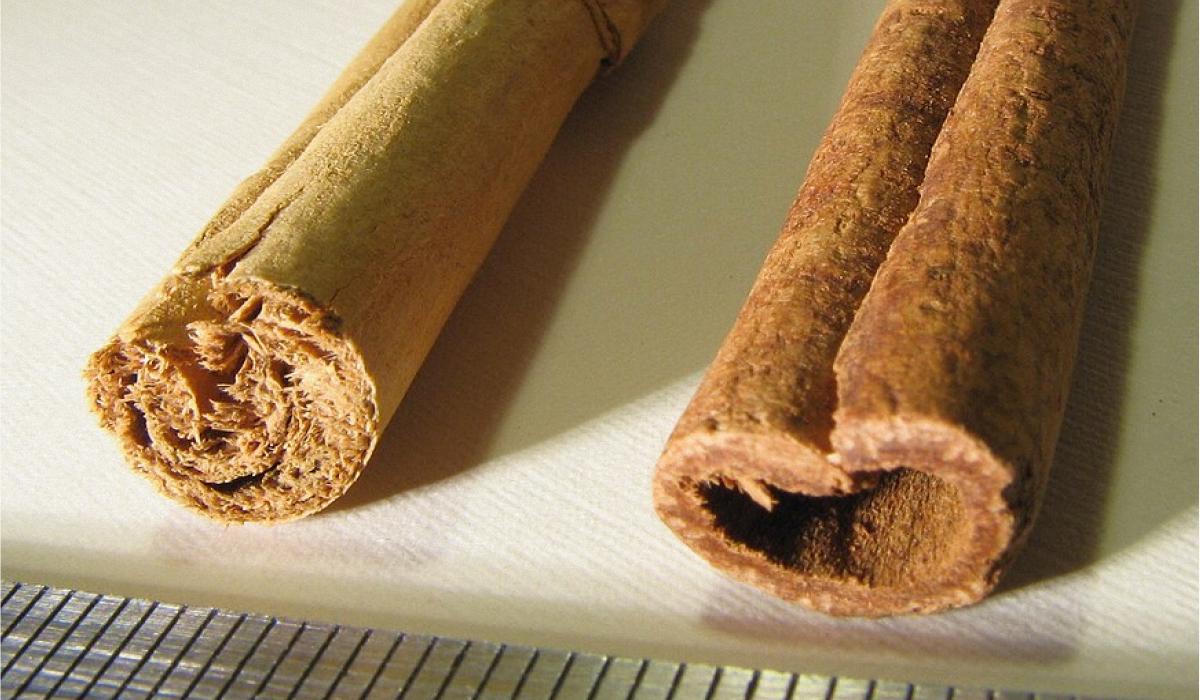 специи и пряности разница