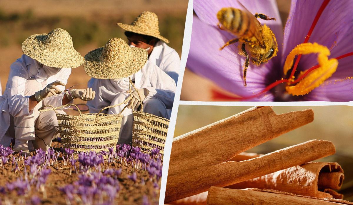 Что входит в состав специи