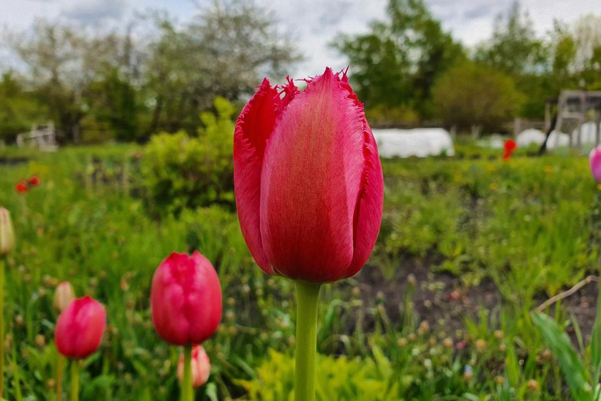 Приметы на сегодня 