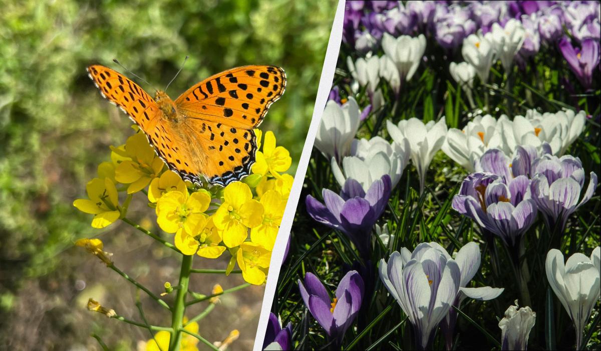 какой сегодня праздник