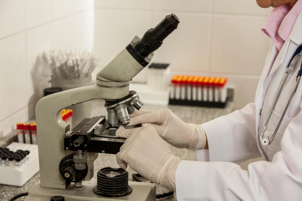 Вони повернулися через 40 000 років: на Алясці ожили істоти з льодовикового періоду