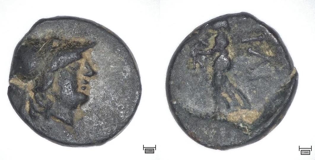 У Берліні школяр випадково знайшов монету з античної Трої: який вона має вигляд