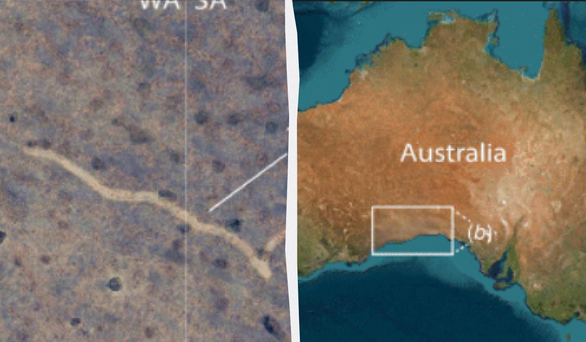 На мапах Google Earth помітили загадкові сліди, вчені витратили місяці, щоб їх пояснити
