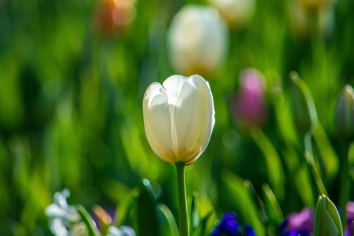 Прикмети на сьогодні