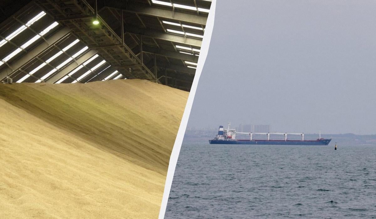 Ізраїльський імпортер відмовився від судна з викраденим українським зерном, – ЗМІ