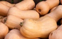 Коли садити кабачки та гарбузи: обираємо найкращий час для рясного врожаю